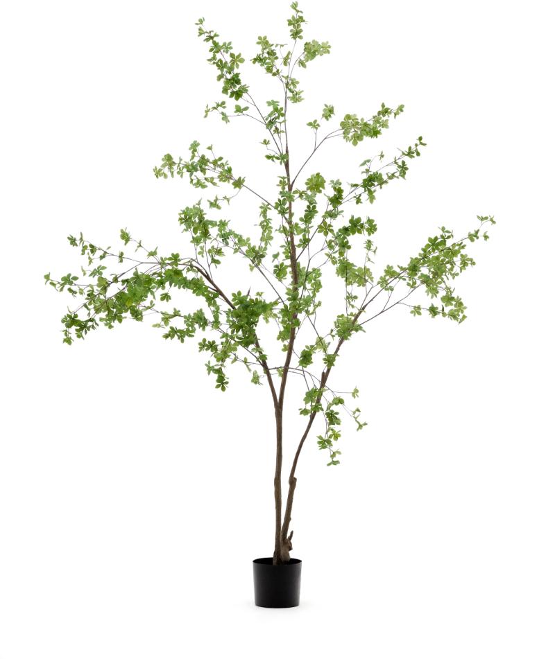Enkianthus  Kunstig Plante  Grøn  H214x56x80